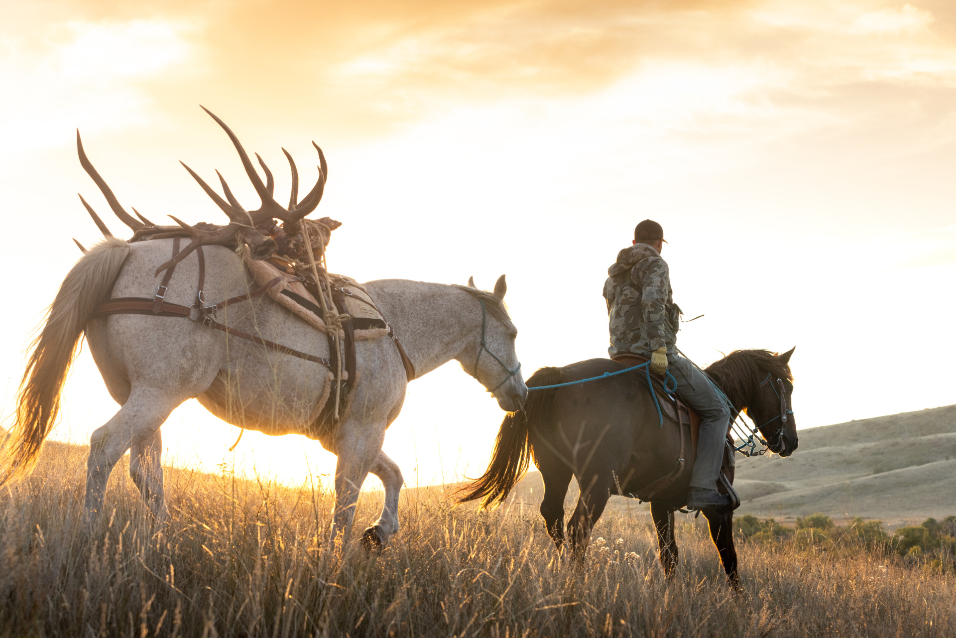 2024 Montana Hunting Regulations Trophy Ranches