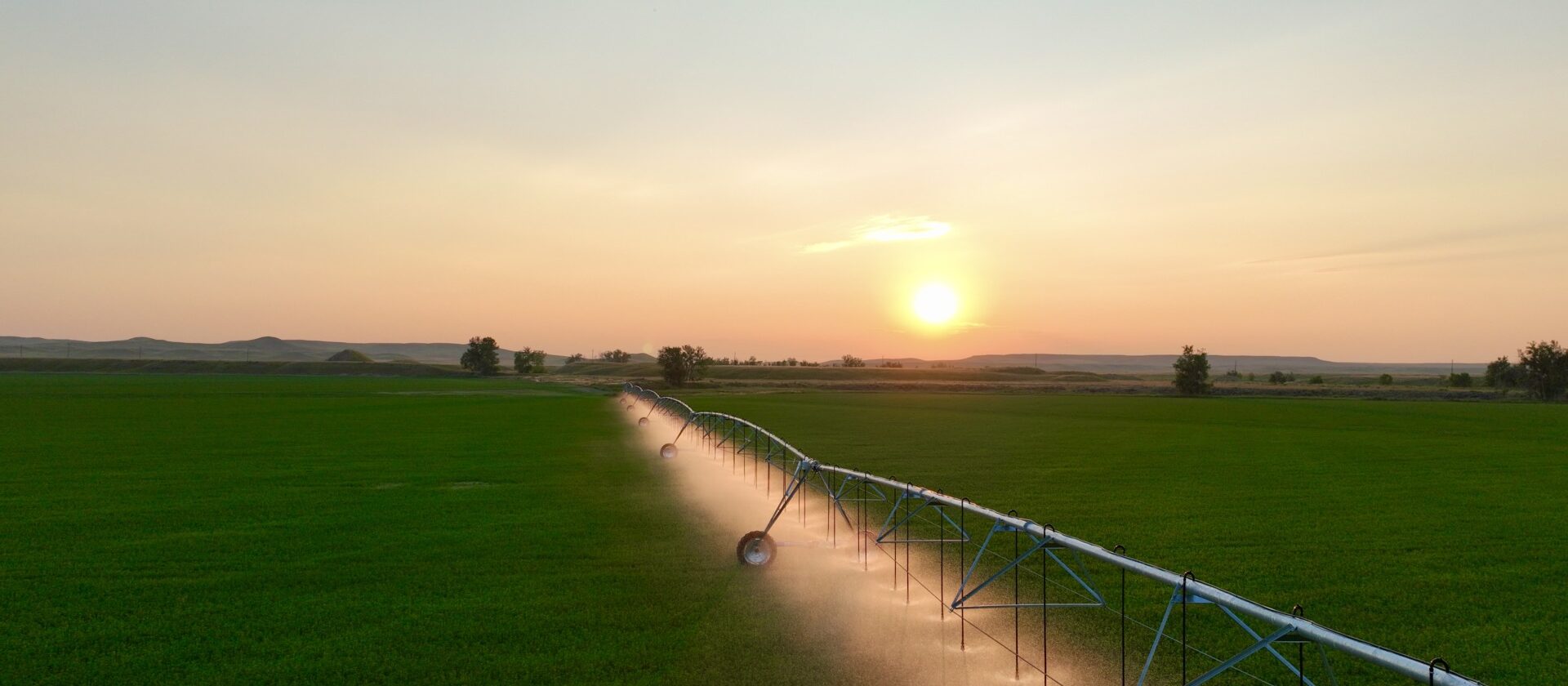 A field sprinkler in a green field at sunset