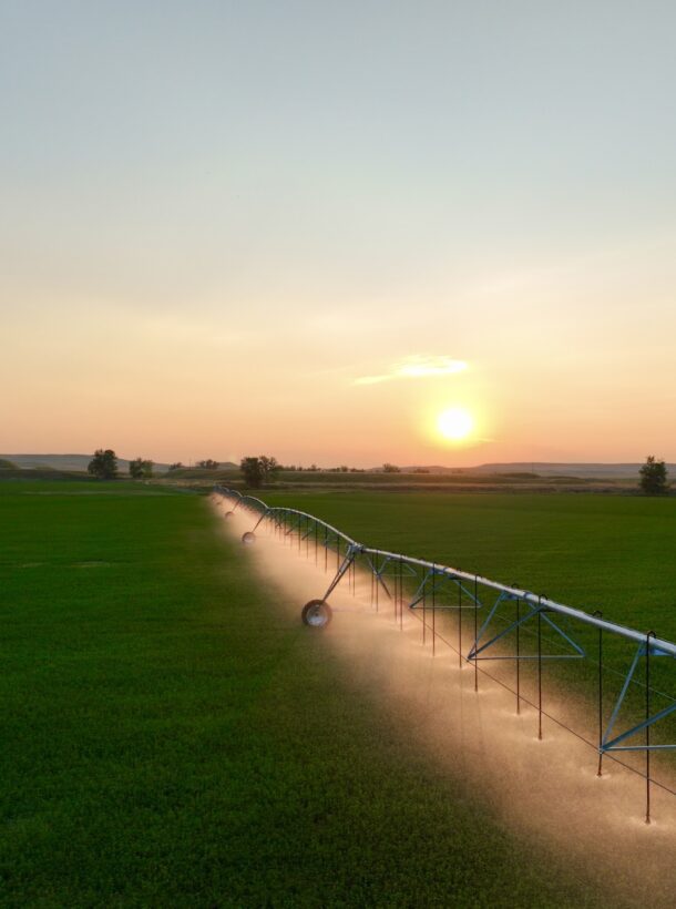A field sprinkler in a green field at sunset