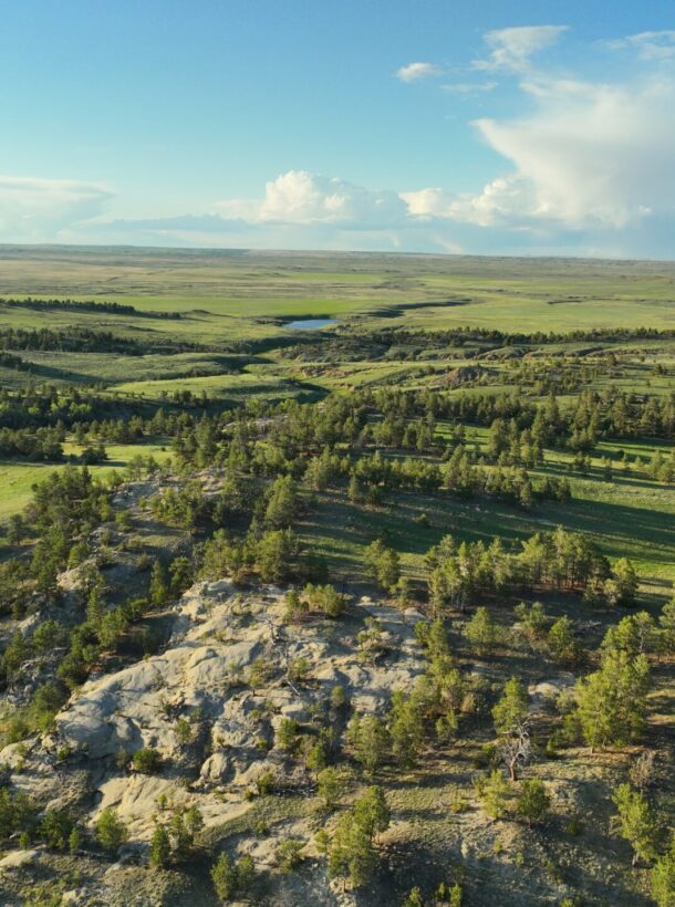 Antler Ridge Elk Ranch